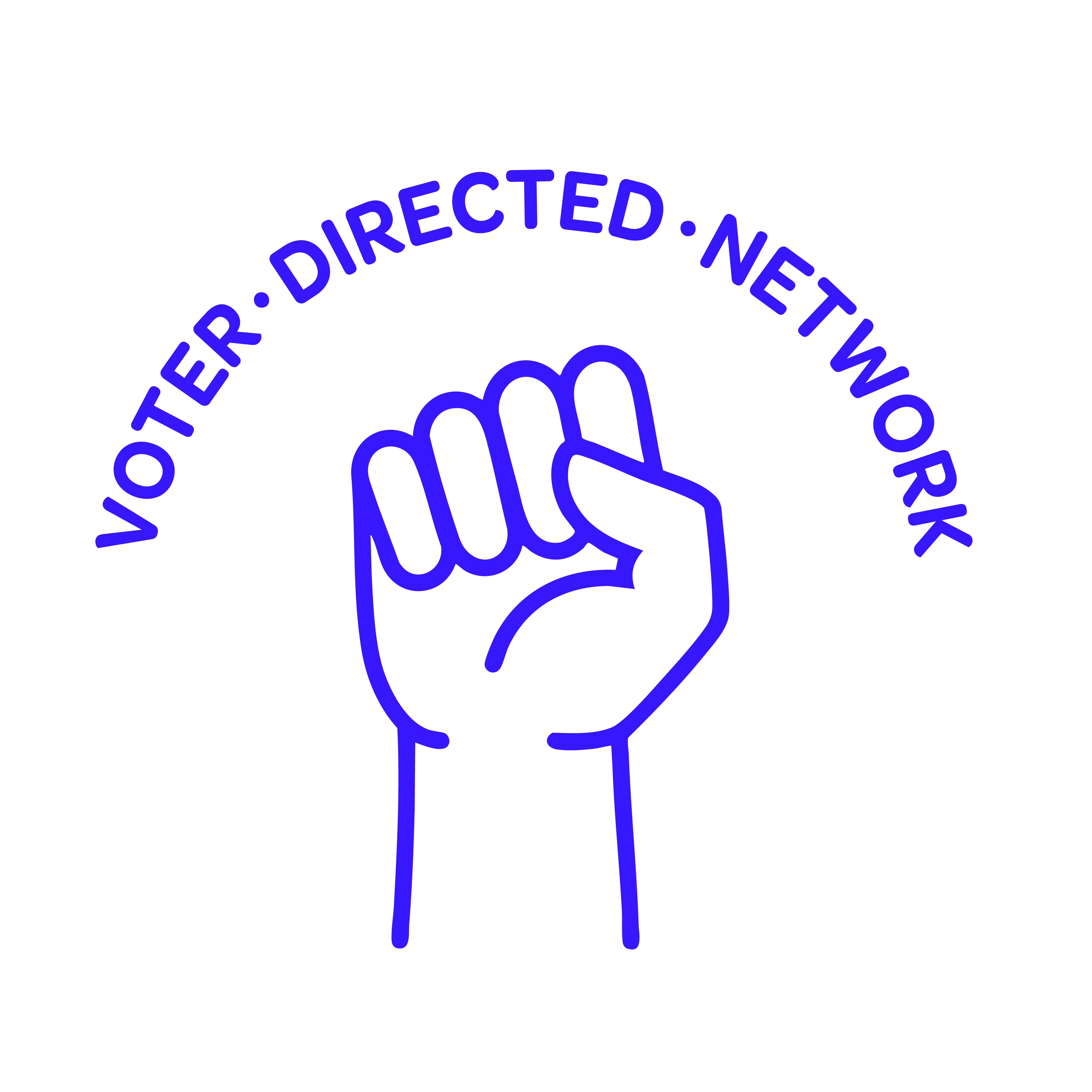 A fist with the words 'Voter・Directed・Network' above it. The words and fist are purple on a white background.